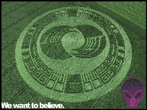 UFO, Znaki, Pole