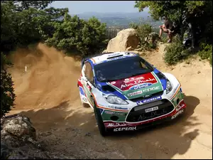 Kurz, Rajd, Ford
