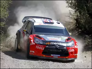 Droga, Citroën C4, WRC