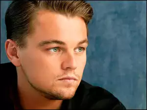 Zarost, Leonardo DiCaprio, Czarna, Aktor, Koszula