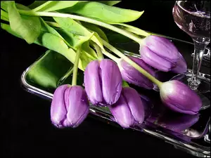 Kieliszek, Fioletowe, Srebrna, Tulipany, Taca