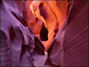 Arizona, Golden, Kanion, Glow, Antylopa