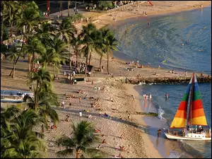 Palmy, Plaża, Kolorowe, Jacht, Żagle