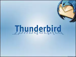 Thunderbird, ptak, koperta, grafika
