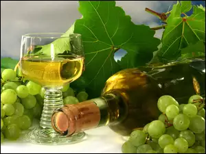 Lampka, Winogorona, Wino
