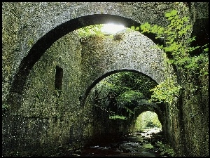 Krzewy, Rzeczka, Tunel