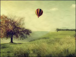 Drzewo, Balon, Łąka