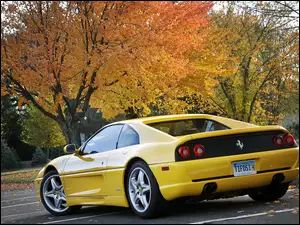 Drzewa, Ferrari 355 F1 Berlinetta, Plac