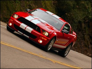 Shelby, Ford Mustang