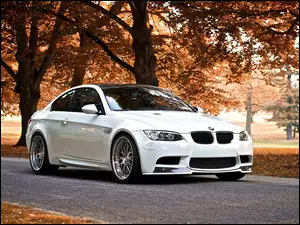 Liście, Bmw M3 Coupe, Droga