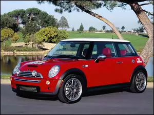 Dach, Mini Cooper, Biały