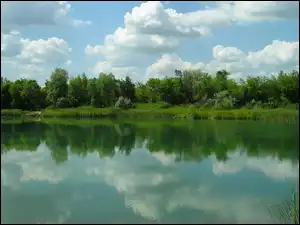 Zieleń, Jezioro, Drzewa