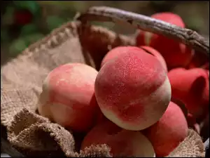Brzoskwinie, Koszyk, Dorodne