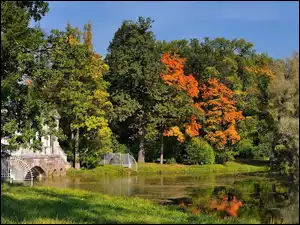 Park, Jesień, Jezioro, Drzewa