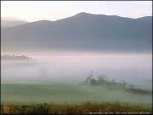 Góra