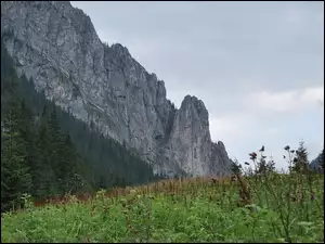 Szczyty, Tatry, Dolina Kościeliska