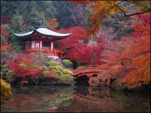 Kyoto, Mostek, Park, Woda