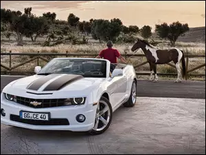 Koń, Chevrolet, Mężczyzna