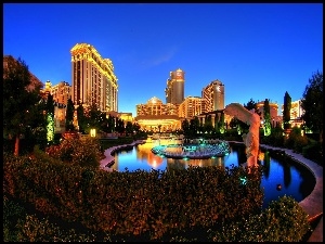 Fontanna, Miasto, Krzewy, Las Vegas