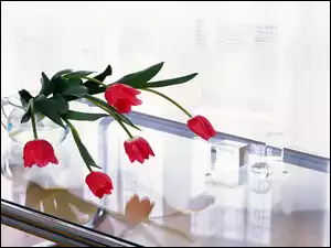 Blat, Tulipany, Szklany