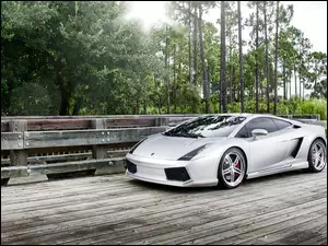 Most, Lamborghini Gallardo, Zieleń