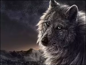 Wilk