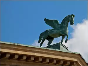 Pegaz, Poznań