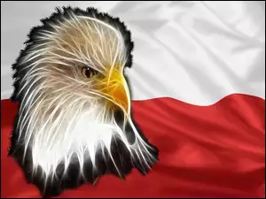 Bielik amerykański, Barwy Narodowe, Polska