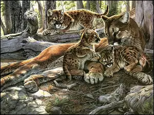 Art, Pumy, Drzewa