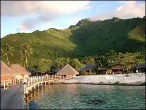 Woda, Domki, Wyspa, Góry, Moorea, Mostek