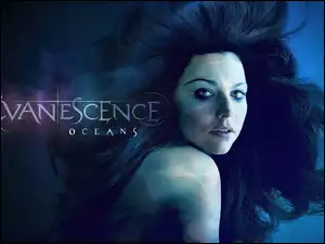 Amy Lee, Evanescence