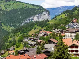 Las, Domki, Góry