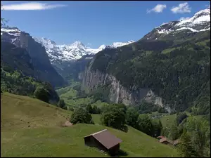 Góry, Domki, Drzewa
