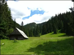Trawa, Góry, Chata, Las