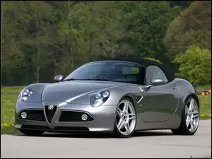 Alfa Romeo 8c Spider, Droga, Drzewa