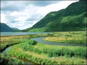 trawa, Góry, Krzewy