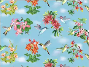 Kolibry, Kwiatki