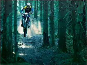 Motocyklista, Las, Ścieżka, Drzewa, Motocykl