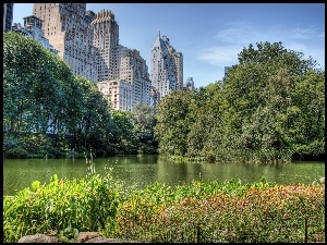 Central Park, Rzeka, Nowy Jork, Wieżowce