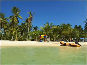Plaża, Ponton, Palmy, Piasek