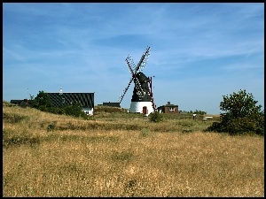Niebo, Łąka, Budynki, Drzewa, Wiatrak