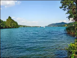 Drzewa, Ogromne, Jezioro