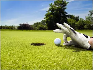 Rękawiczka, Golf, Ręka