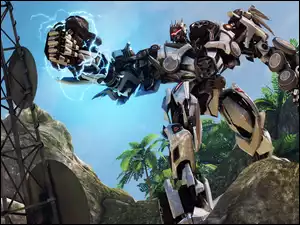 Palmy, Transformers, Skały
