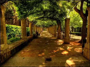 Park, Kolumny, Akejka, Ławeczka