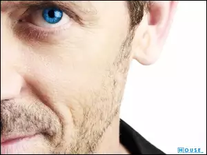Dr. House, Oczy, Hugh Lauriego, Niebieskie