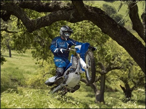 Drzewa, Motocyklista, Trawy, Cross