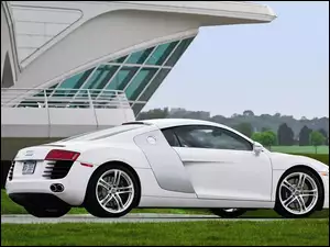 Białe, Sportowe, Audi R8, Auto