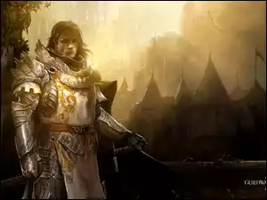 Zbroja, Guildwars, 2