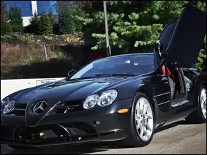 Drzewa, Mercedes Benz SLR McLaren, Ulica